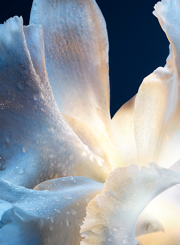 Guerlain