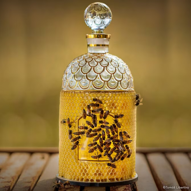 Guerlain