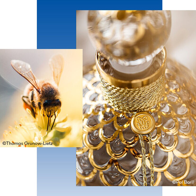 Guerlain